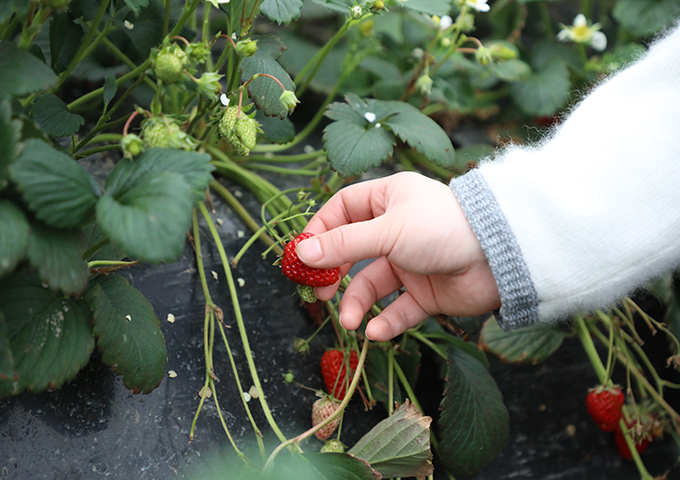 ���Ǯ������ - ��ȫ֧������|��������Ǯ��ƽ̨