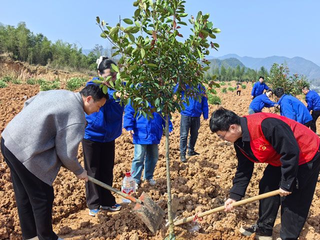 989B77916861F0F1D65DA88D995_18E6660C_17659